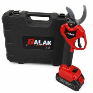Alternative view of BALAK ΨΑΛΙΔΙ ΚΛΑΔΕΜΑΤΟΣ 21V