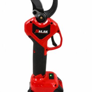 BALAK ΨΑΛΙΔΙ ΚΛΑΔΕΜΑΤΟΣ 21V