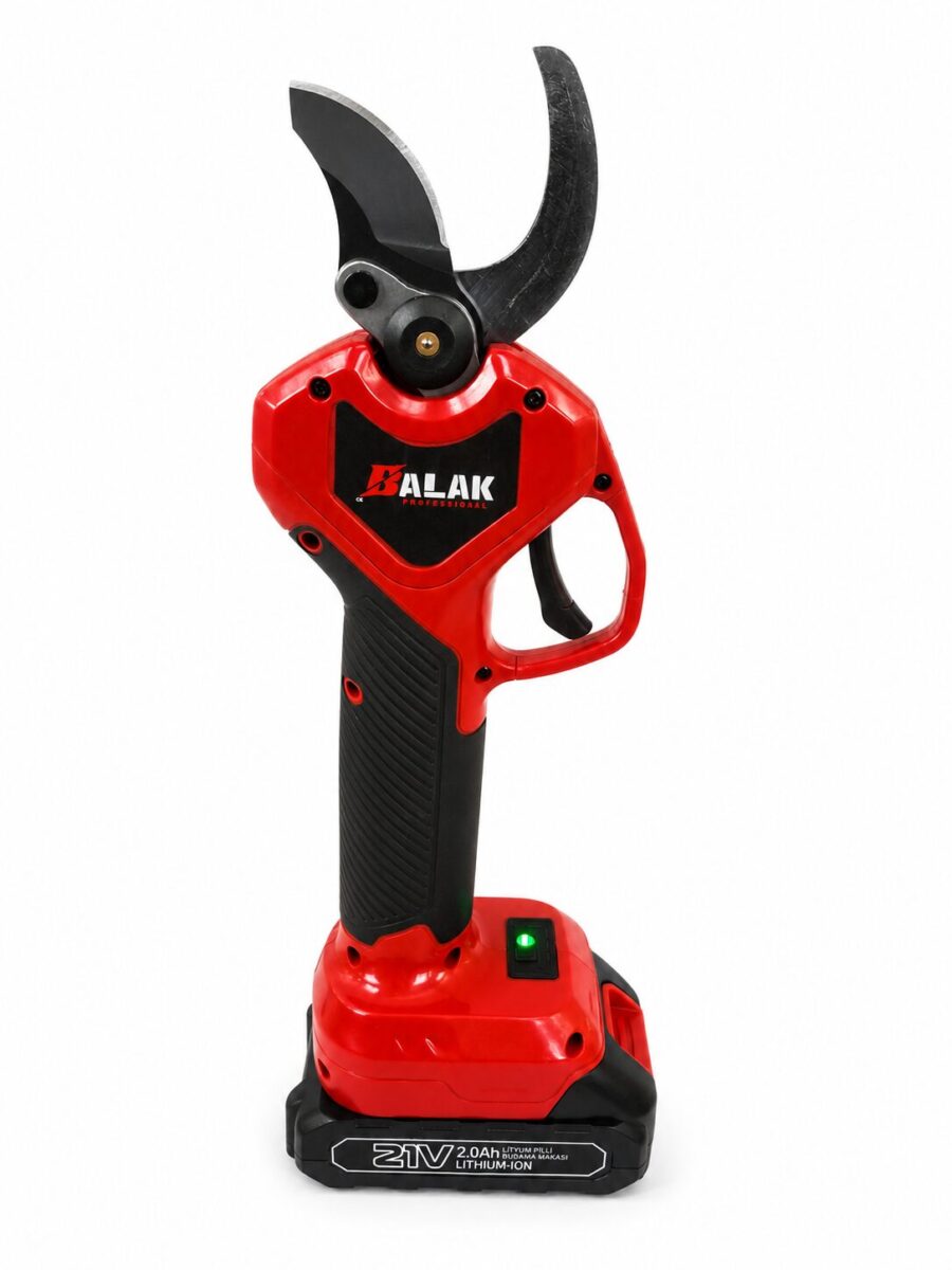 BALAK ΨΑΛΙΔΙ ΚΛΑΔΕΜΑΤΟΣ 21V
